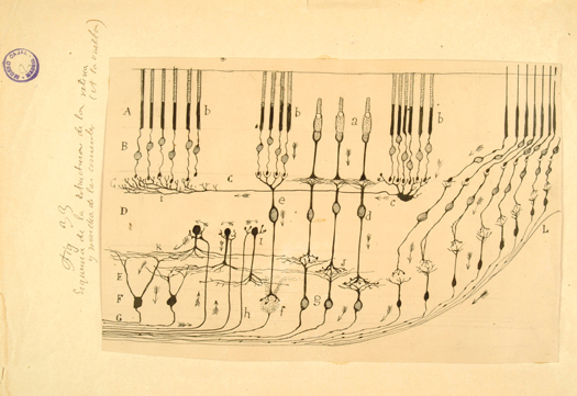 Portraits of the Mind: Slideshow: Slide 2